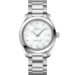 Seamaster 28 mm, ステンレススティール   ステンレススティール - 22010286055001