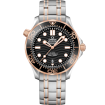 Seamaster 42 mm, スティール - セドナゴールド   スティール - セドナゴールド - 210.20.42.20.01.001