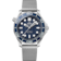 Seamaster 42 mm, ステンレススティール   ステンレススティール - 210.30.42.20.03.002