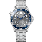 Seamaster 42 mm, ステンレススティール   ステンレススティール - 210.30.42.20.06.001