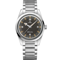 Seamaster Railmaster 38 mm, ステンレススティール   ステンレススティール